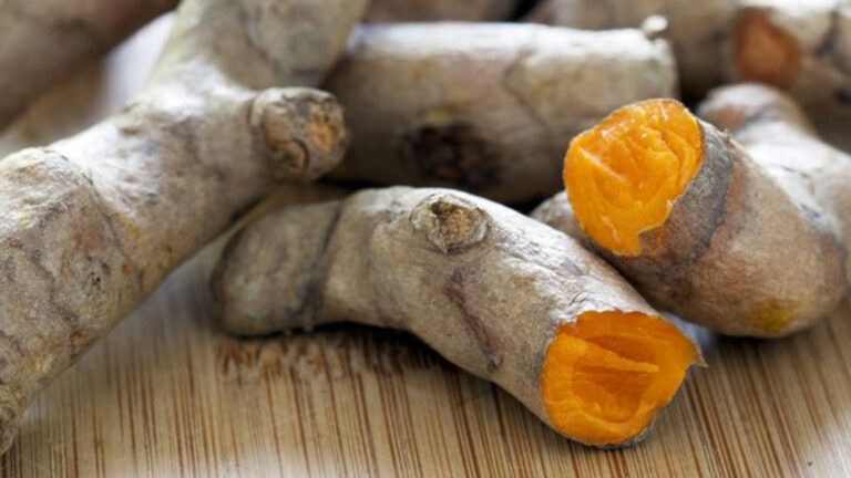 Discover-the-healing-power-of-Spices-Part-1