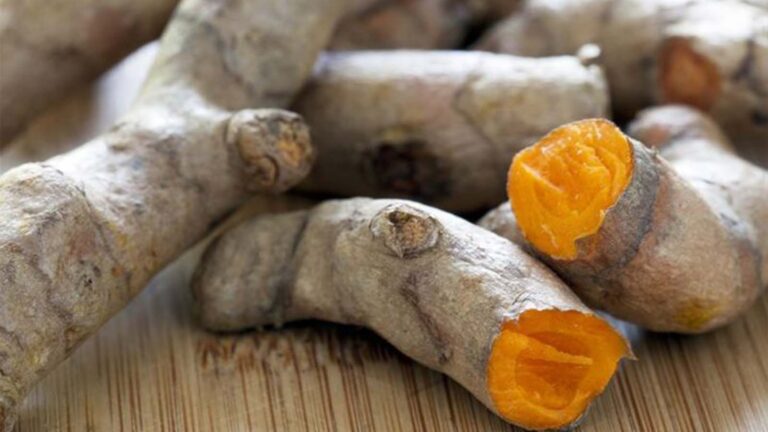Discover the Healing Power of Spices (Part 1)